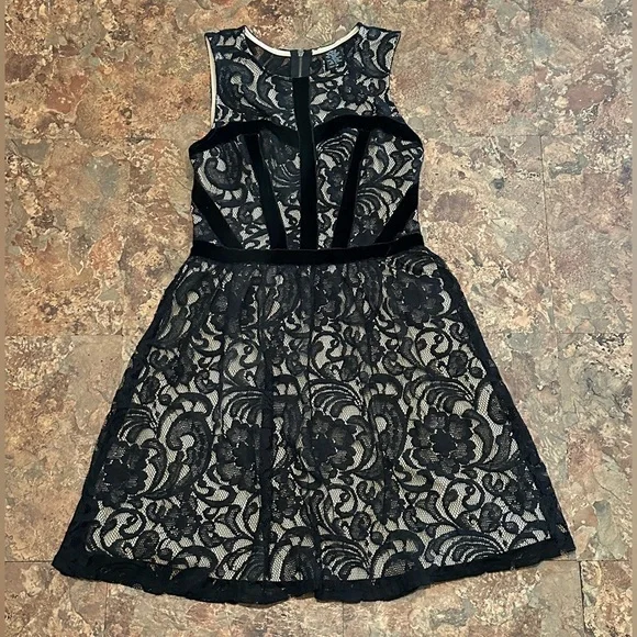 Fire Los Angeles Nude and Black Lace Dress Size Medium - Picture 1 of 6